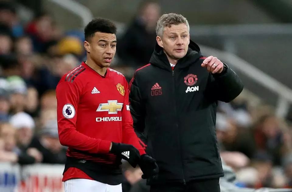 八强过程中 八强过程中