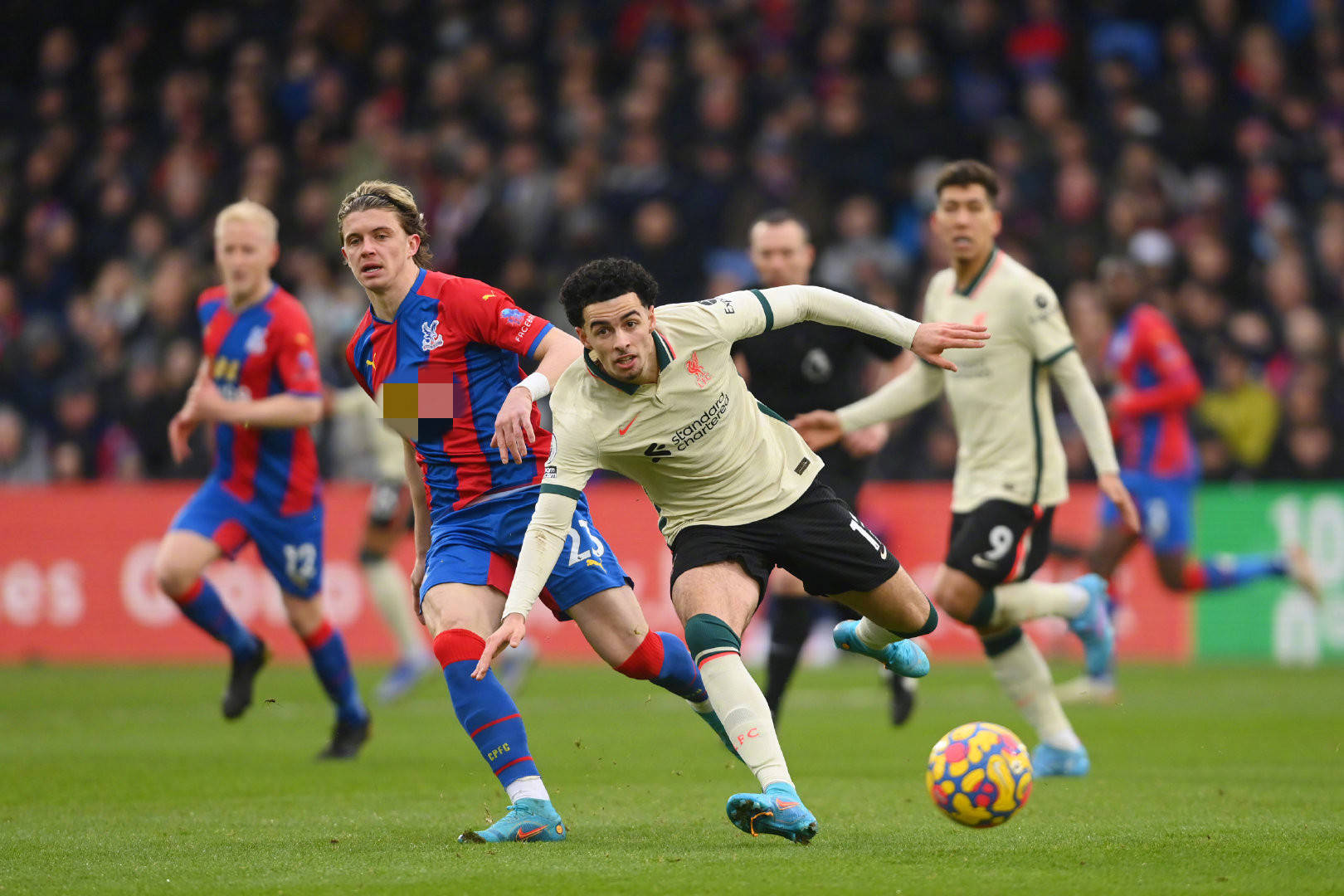 我们会好好 我们会好好