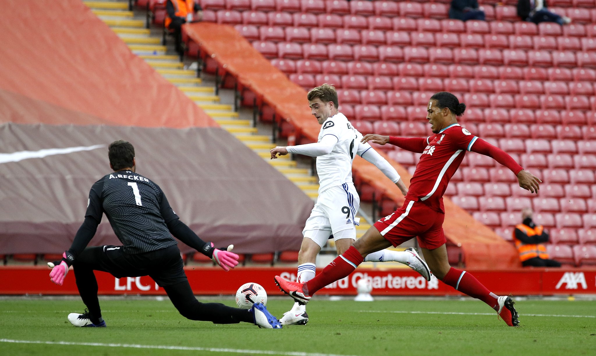 游客不仅能 游客不仅能